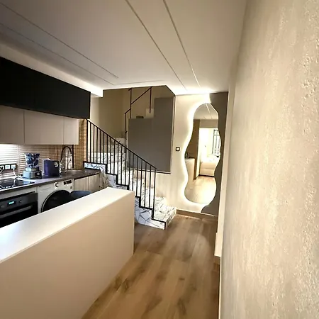 Beautiful Duplex In Center Lejlighed *